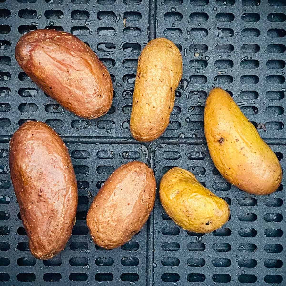 fingerling potatoes in ninja foodi air fryer basket.